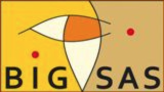 BIGSAS Logo