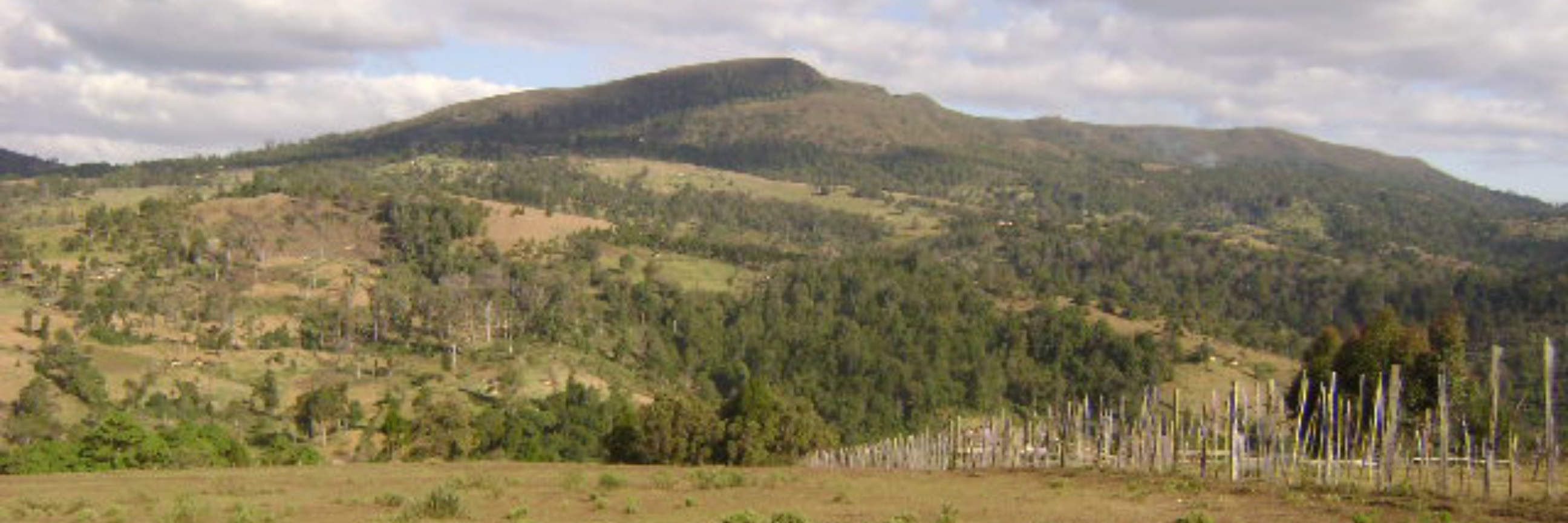 Mount Elgon Banner